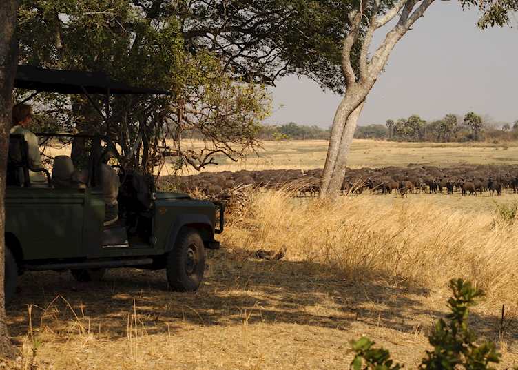 Game Drive, Katavi National Park