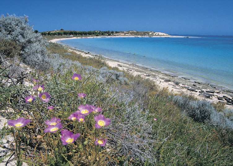 Coral Bay