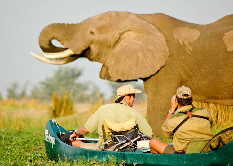 Canoeing in Mana Pools