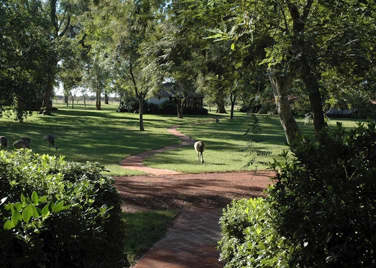Rincon de Socorro gardens