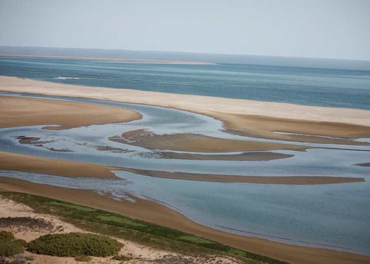 Sandwich Harbour