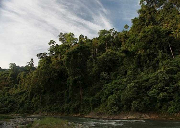 Bukit Lawang National Park, Indonesia