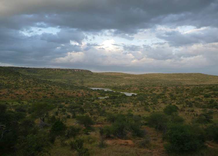 Loisaba Wilderness, Kenya