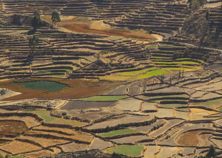 Terraces in the Colca Valley