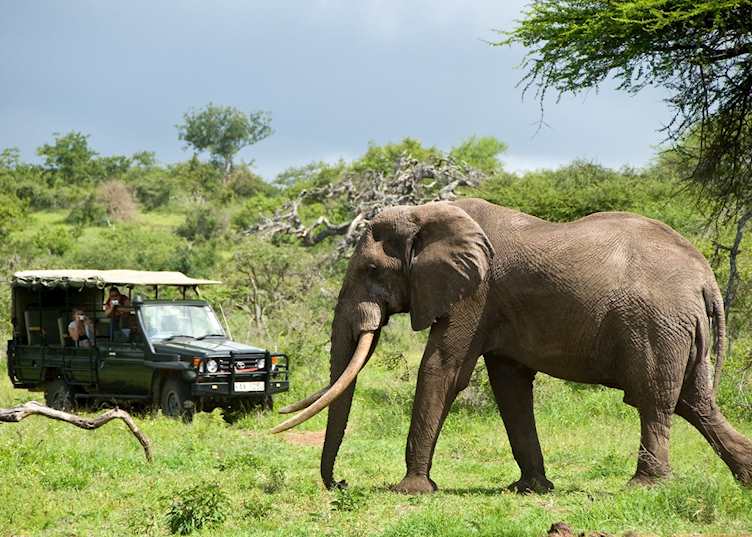 Game drive in the Chyulu Hills