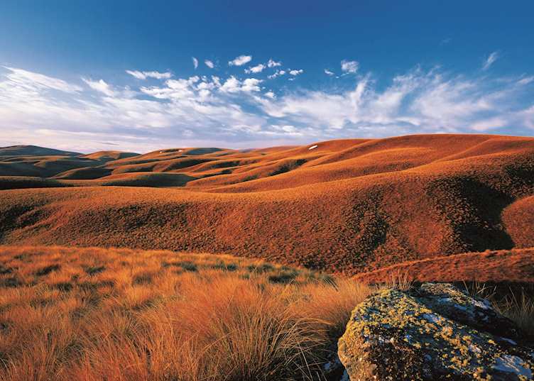 Red tussock hills, Te Anau