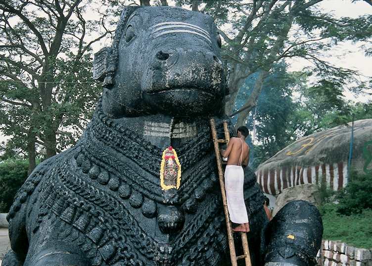 Nandi Bull, South India