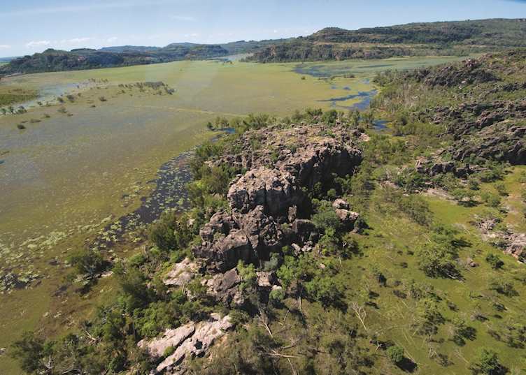 Flooded billabong wetlands, Kakadu National Park