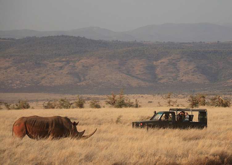 Game-viewing from Lewa Safari Camp
