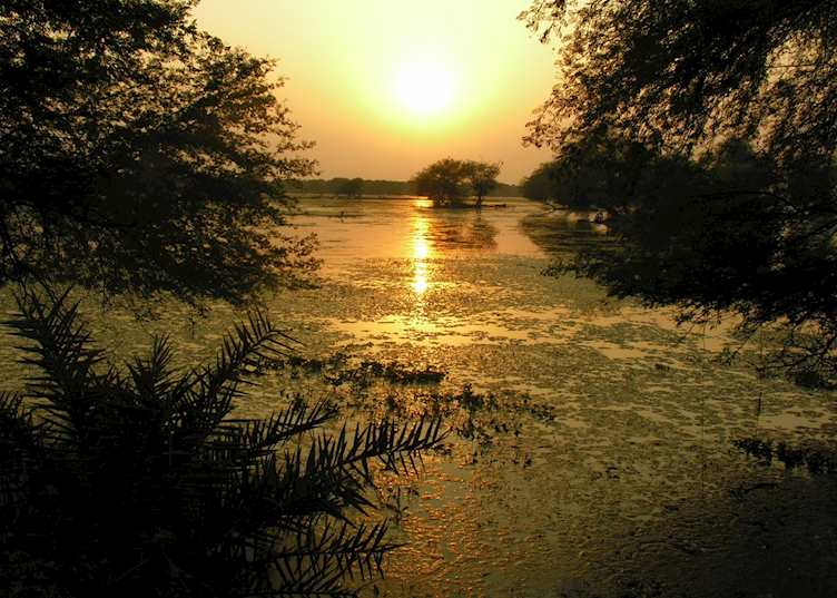 Keoladeo Bird Sanctuary