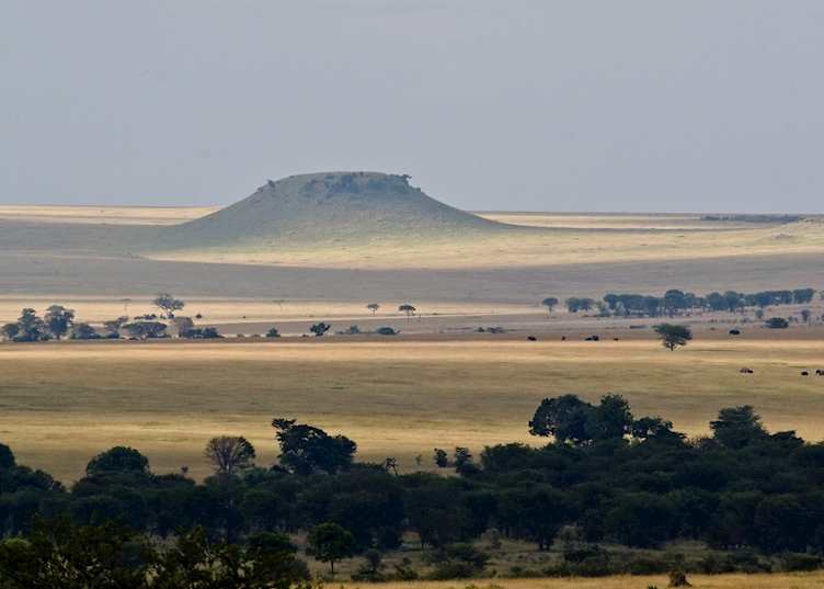 Sayari Camp, Serengeti National Park
