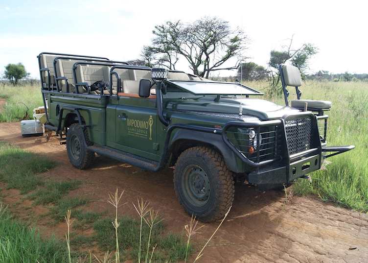 Safari within Impodimo Game Lodge, Madikwe Game Reserve