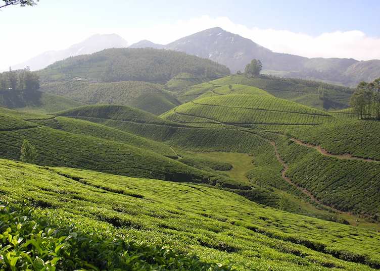 Munnar, India