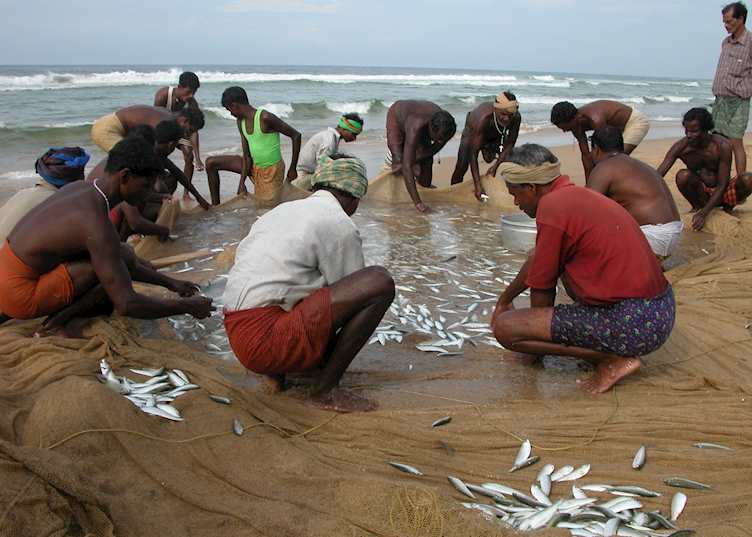 Fishing on Kovalam Beach