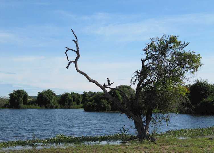 Pousada Rio Mutum, Brazil