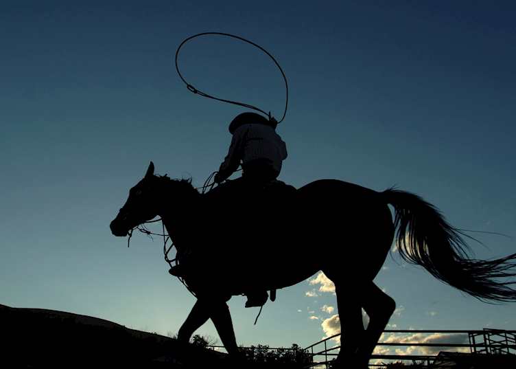 Cowboy in Calgary, Canada