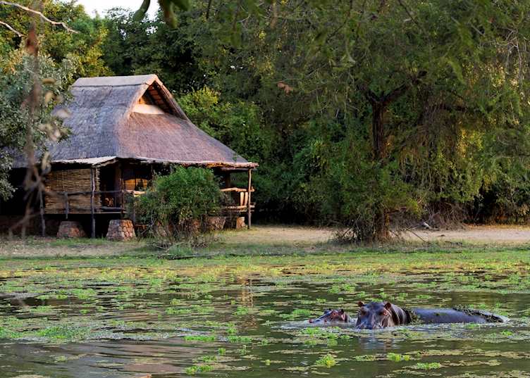 Mfuwe Lodge, South Luangwa National Park