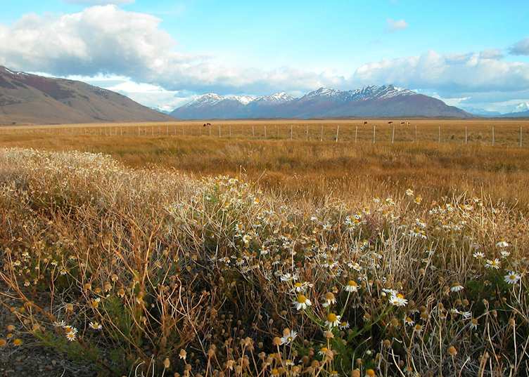 El Calafate in Autumn (April), Argentina