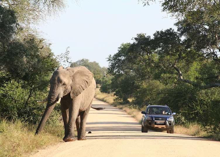 Self-driving in Kruger National Park