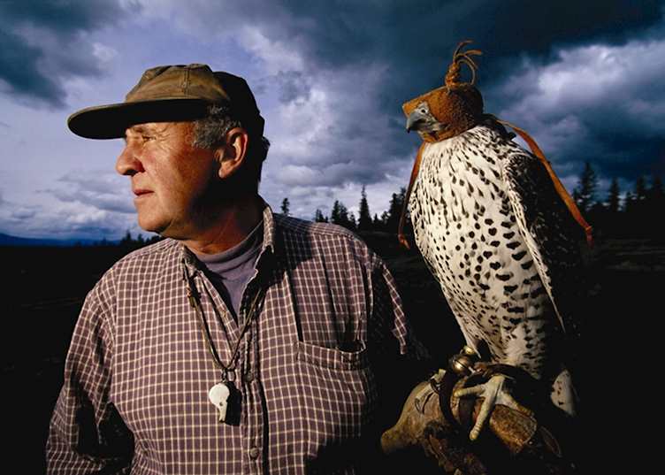 Falconry demonstration at Echo Valley Ranch