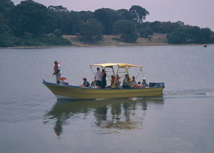 Boat trip to Ngamba Island Chimpanzee Sanctuary