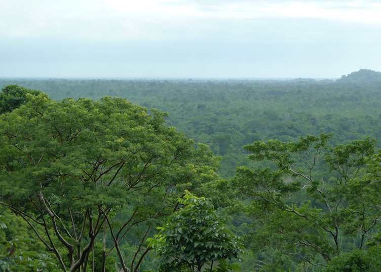 View from Restaurant, Copal Tree Lodge (formerly Belcampo), Punta Gorda