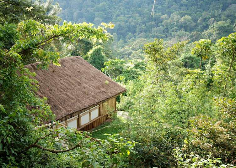 Buhoma Lodge, Bwindi Impenetrable Forest National Park