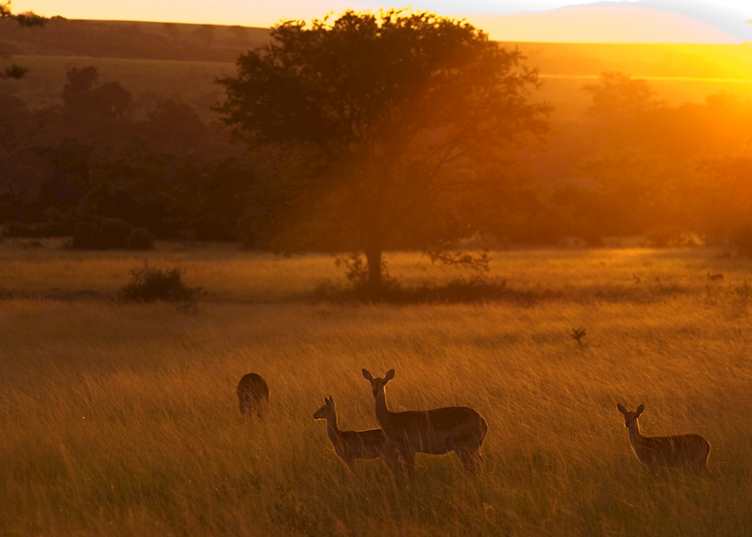 Queen Elizabeth National Park, Uganda