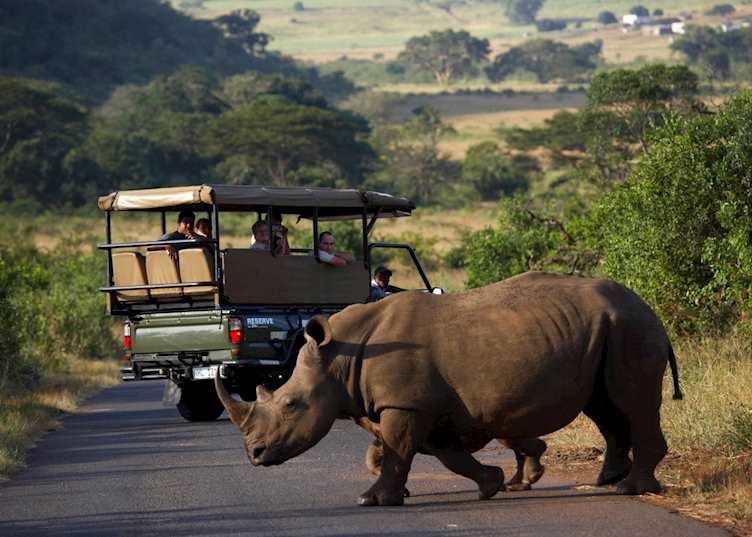 Game viewing in Hluhluwe-IMfolozi Game Reserve