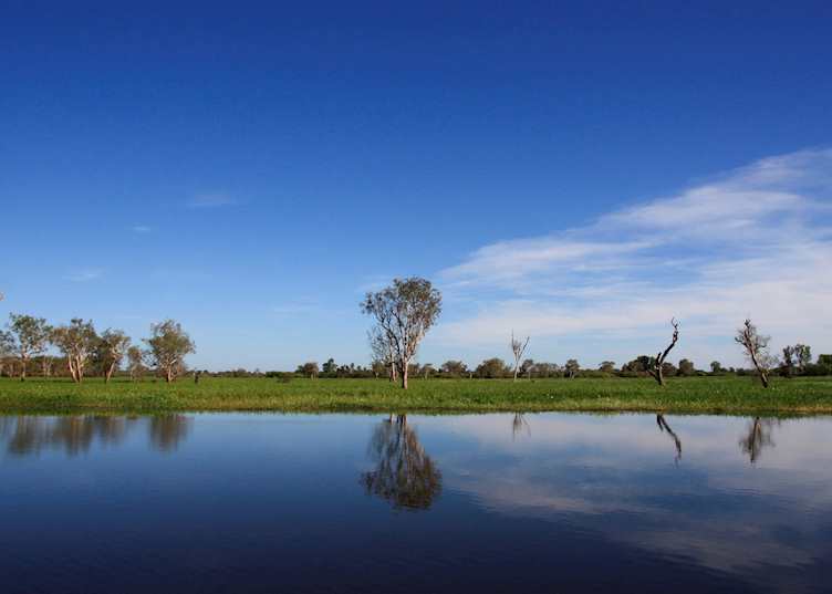 Yellow Water Billabong, Kakadu National Park
