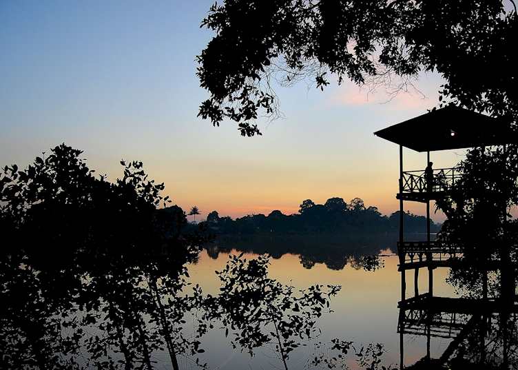 First light at Abai Jungle Lodge, Kinabatangan River