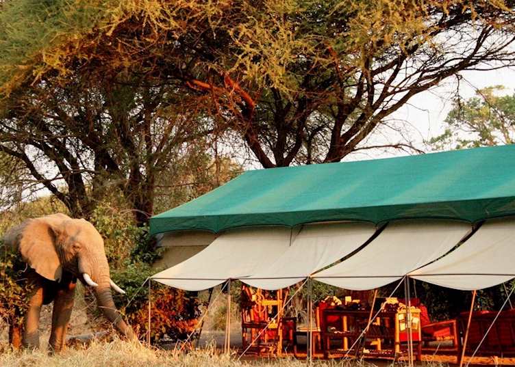 Mdonya Old River Camp, Ruaha National Park