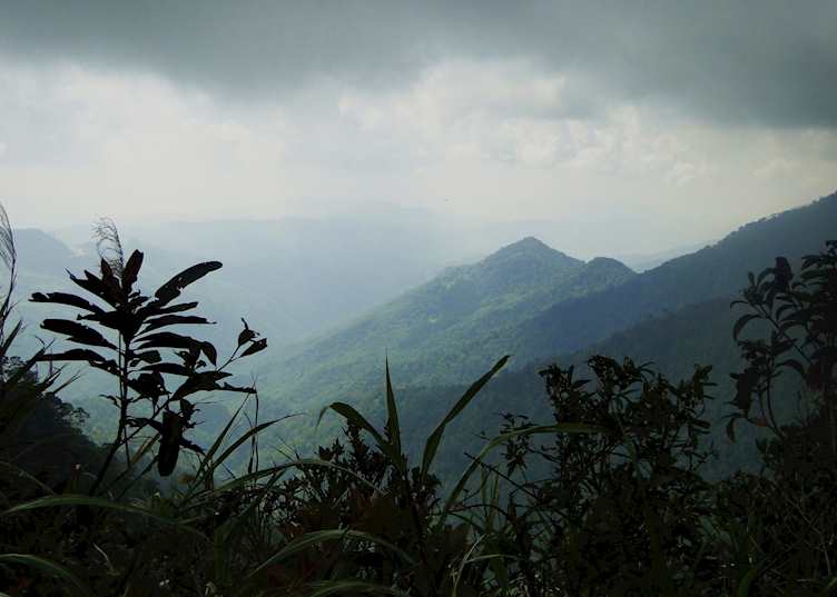 Kinabalu National Park, Malaysian Borneo