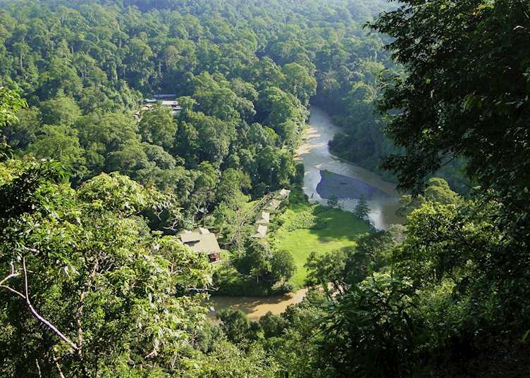 Borneo Rainforest Lodge, Danum Valley