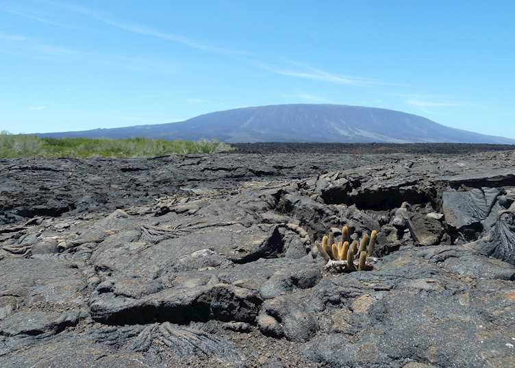 Fernandina Island, Galapagos Islands