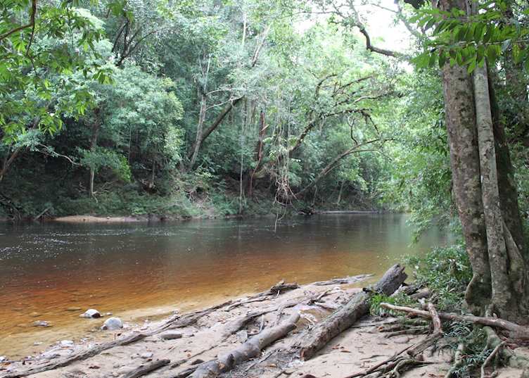 Taman Negara National Park