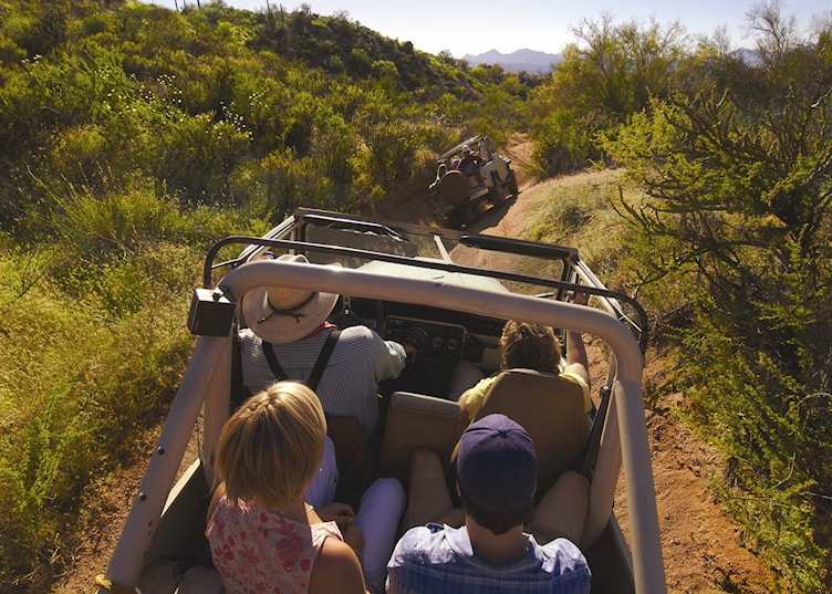 Sonoran Desert 4x4 tour