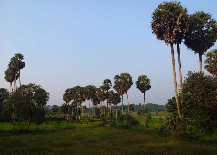 Palakkad, India