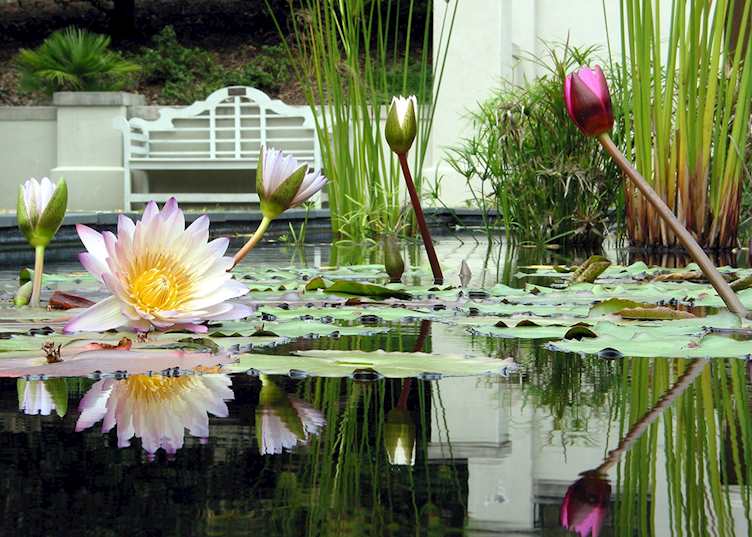Birmingham Botanical Gardens