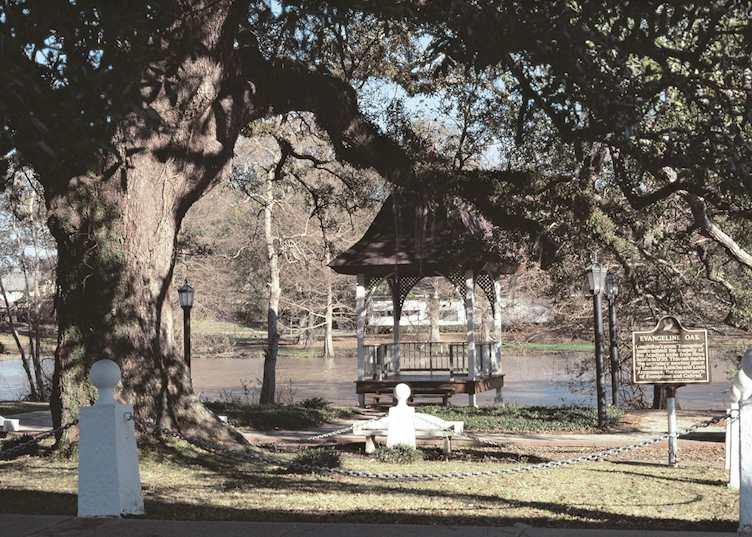 The Evangeline Oak, St. Martinville, near Lafayette