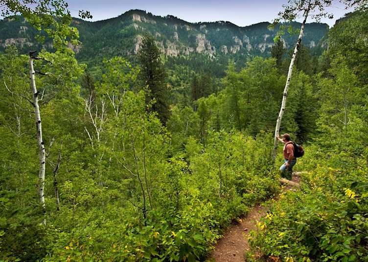 Walking in Spearfish Canyon near Deadwood