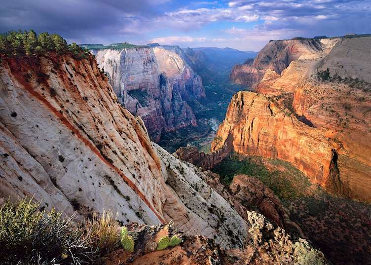 Zion National Park
