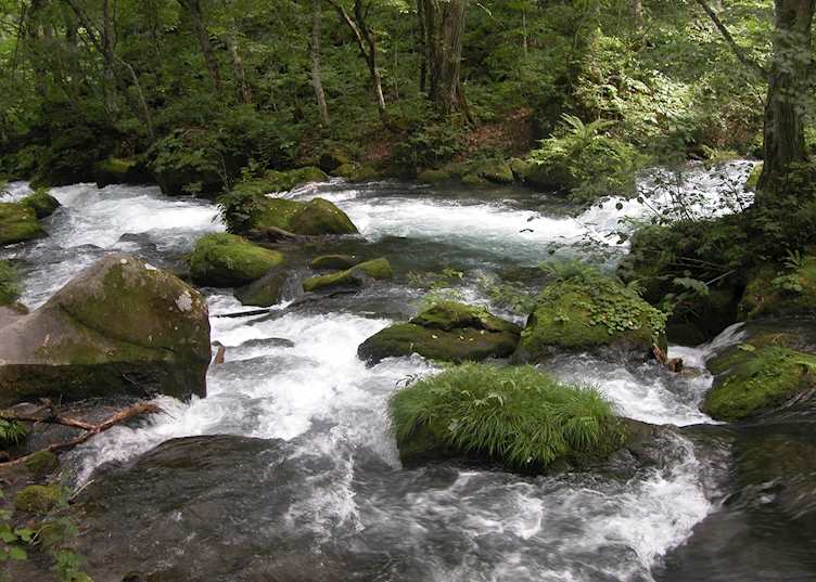 Oirase Gorge, Lake Towada
