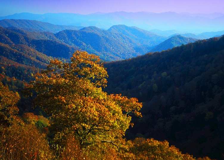 The Blue Ridge Mountains