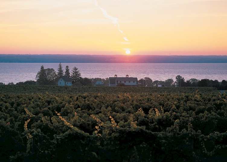 On the Seneca wine trail, Finger Lakes