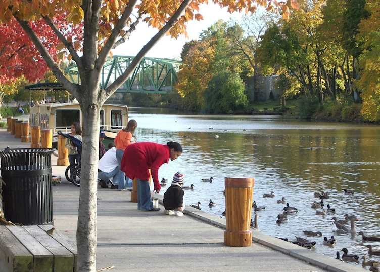 Feeding the ducks, Rochester