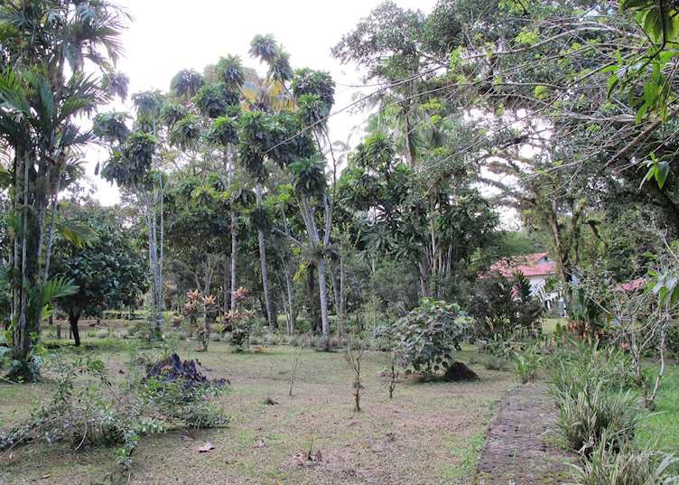 CATIE Agricultural Research Station, Turrialba