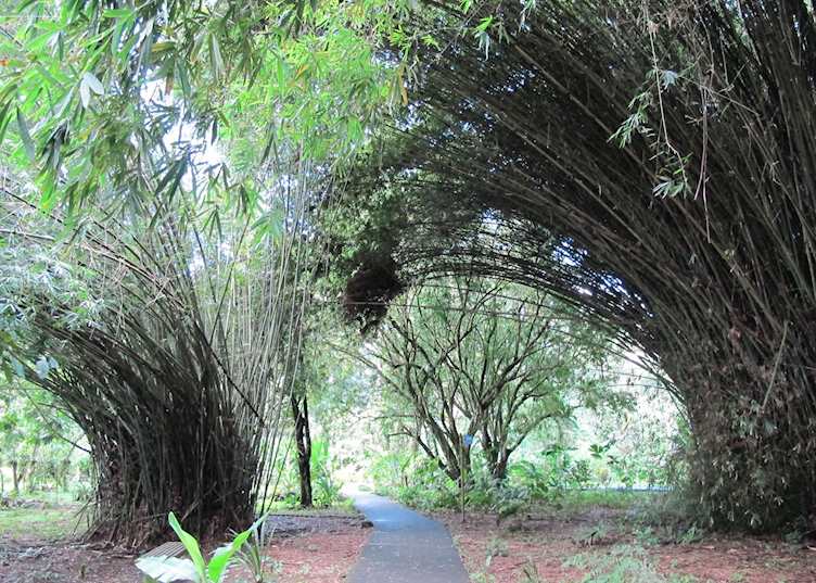 CATIE Agricultural Research Station, Turrialba