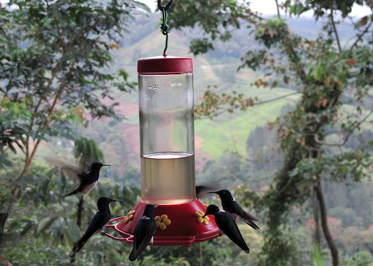 Rancho Naturalista, Turrialba