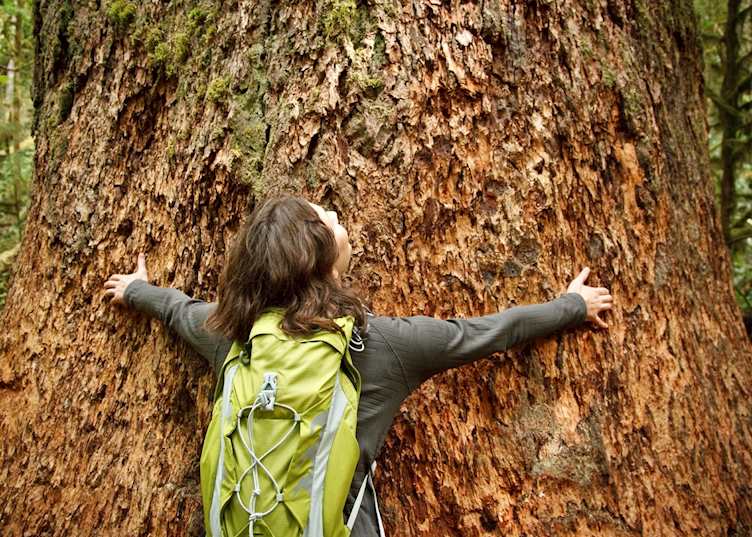 Hugging a giant tree in Olympic National Park